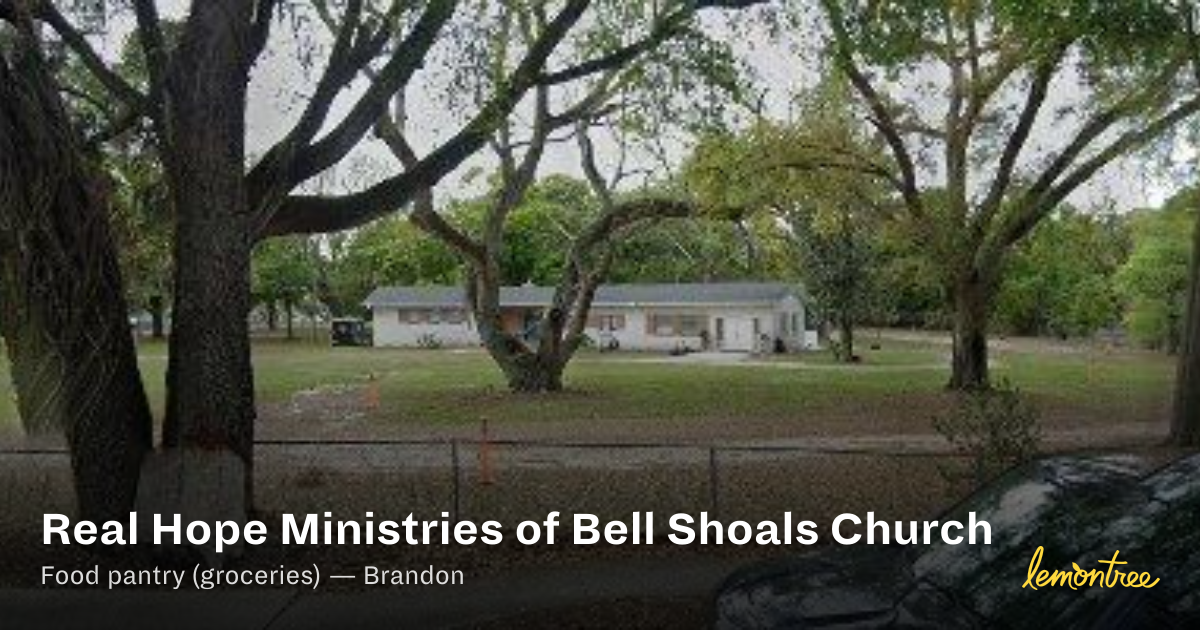 Real Hope Ministries of Bell Shoals Church — Lemontree