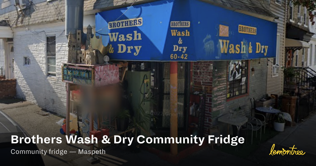 Brothers Wash & Dry Community Fridge — Lemontree